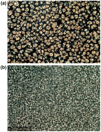 Figure 3 Polarized optical micrographs of (a) 3b and (b) LCP.
