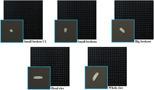 Figure 6. The images of five milled rice categories for the training and validation process.
