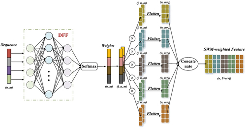 Figure 7. Generation of normalized weights by sequence weighted module (SWM) based on height or intensity sequences, using DFF plus softmax. The SWM assigns features belonging to different slicing layers in the original input vectors.