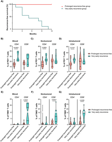 Figure 2 Immune signature associated with very early HCC recurrence after PTA. (A) Recurrence-free survival of thirty-one patients included in the study: 9 patients (29%) were later categorized into the very early recurrence group and 22 patients (71%) into the prolonged recurrence-free group. The median time between ablation procedure and intrahepatic distant recurrence was 4.5 months [IQR:3.1–9] in the very early recurrence group. (B) The frequencies of circulating PD1+ T cells compared between “prolonged free recurrence group” and “very early recurrence group”. The frequencies of PD1+ T cells, (C) in nontumoral and (D) in tumoral biopsies. (E) The frequencies of circulating TIM3+ T cells. The frequencies of TIM3+ T cells, (F) in nontumoral and (G) in tumoral biopsies. The violin plots show the distribution of the data, with median and quartiles.