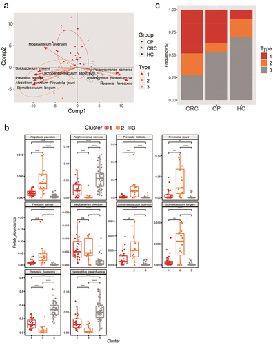 Figure 3.  Phylogenetic differences among three fur-types. (a) A BCA plot for showing the different species of three fur-types. (b) The top 10 contributors of three fur-types showing a different trend among groups. (c) Frequency of tongue coating types in the three groups. Statistical significance by *p < 0.05, **p < 0.01, ***p < 0.001, ****p < 0.0001; ns, non-significant. BCA: between class analysis, which visualizes results from principal component analysis and clustering; HC: healthy controls, CP: patients with colorectal polyps (CP), CRC: patients with colorectal cancer.