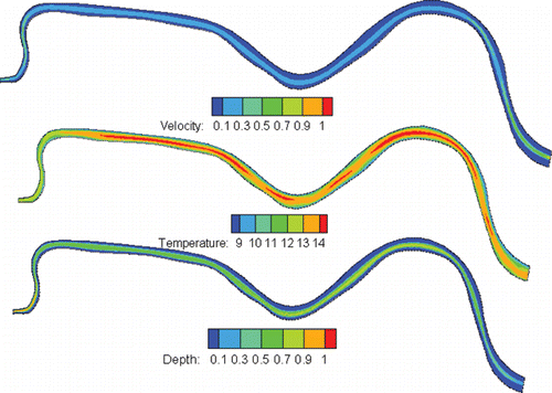 Figure 6 Velocity, water depth, and temperature distribution based on the traditional environmental discharge scheme.