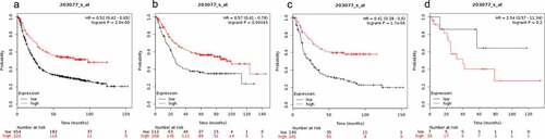 Figure 2. Prognostic value of SMAD2 expression in gastric cancer