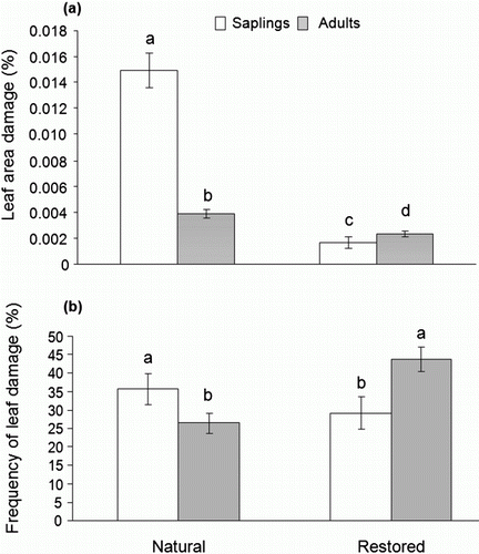 Figure 1.  Differences in leaf area damage by folivores (A) and frequency of leaf damage (B) between sites and ontogenetic stages. Non-transformed data are shown. Common letters identify means that were not statistically different according to LSMeans test (p>0.001) following ANOVA test. Error bars indicate SE.