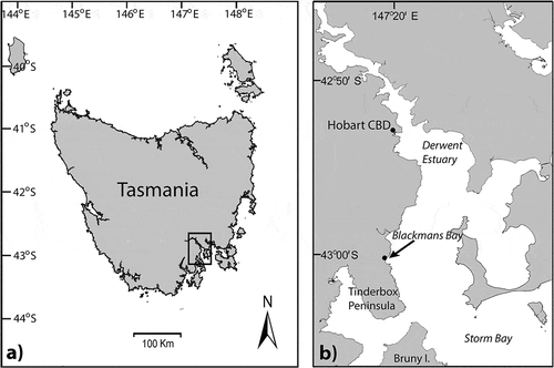 Fig. 1. The Australian state of Tasmania: (a), the Derwent Estuary region of southeastern Tasmania and (b), the site of the holotype and paratype collections of Entwisleia bella (arrow).
