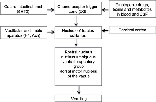 Figure 2 Pathophysiology of nausea and vomiting after anesthesia and surgery.