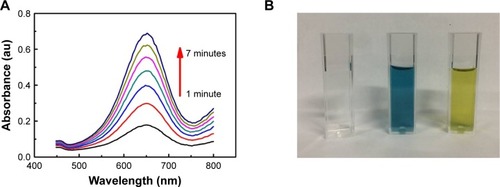 Figure 4 (A) Time-dependent absorbance of TMB oxidation system in the presence of antigen-conjugated Au@Pt NRs. (B) Typical photographs of TMB–H2O2 solution (left), TMB–H2O2-antigen-conjugated Au@Pt NRs (middle), and the reaction solutions after addition of H2SO4. Effects of (C) TMB concentration, (D) H2O2concentration, (E) antigen-conjugated Au@Pt NRs concentration, (F) reaction time, (G) temperature, and (F) pH on the catalytic activity of antigen-conjugated Au@Pt NRs.Notes: Reaction conditions: (A, B) 0.125 nM antigen-conjugated Au@Pt NRs, 1 mM TMB, 50 mM H2O2, 10 minutes, 37°C, and 0.1 M, pH 5; (C) 0.125 nM Au@Pt NRs, 50 mM H2O2, 10 minutes, 37°C, and 0.1 M, pH 5; (D) 0.125 nM Au@Pt NRs, 1 mM TMB, 10 minutes, 37°C, and 0.1 M, pH 5; (E) 1 mM TMB, 50 mM H2O2, 10 minutes, 37°C, and 0.1 M, pH 5; (F) 0.125 nM Au@Pt NRs, 1 mM TMB, 50 mM H2O2, 37°C, and 0.1 M, pH 5; (G) 0.125 nM Au@Pt NRs, 1 mM TMB, 50 mM H2O2, 10 minutes, and 0.1 M, pH 5; (H) 0.125 nM Au@Pt NRs, 1 mM TMB, 50 mM H2O2, 10 minutes, and 37°C.Abbreviations: NR, nanorod; TMB, 3,3′,5,5′-tetramethylbenzidine.