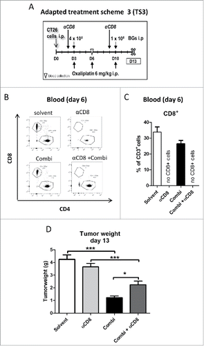 Figure 6. Effect of CD8+ cells depletion on activity of combination treatment. (A) Male BALB/c mice were injected i.p. with 1 × 105 CT26 cells on day 0 (D0) and treated according to the modified TS3 (n = 4 per group). Blood samples were taken on day 6 and mice were dissected on day 13. (B) Impact of treatment on cytotoxic T-cells (CD8+) was verified in blood samples, by flow cytometry. Representative dot plots and (C) quantification as fraction of CD8+ cells in CD3+ population are shown. (D) Tumor burden is plotted as mean ± SD. Statistical significance was calculated by unpaired t test (*p < 0.05;**p < 0.01;***p < 0.001)