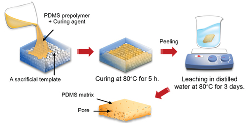 Figure 7. Schematic illustration of PDMS sponge preparation. The PDMS polymer and curing agent were mixed to a weight ratio of 10:1. Viscous PDMS was then added to the mold and curing at 80°C for 5 h. finally leaching in distilled water at 80°C for 3 days (Pharino et al. Citation2021). Reprinted with permission from (Pharino et al. Citation2021); copyright 2021 Elsevier.