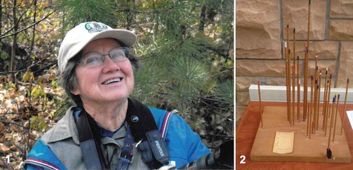 Figure 1. (1) Martha Christensen, observing the natural world. From Carol Christensen. (2) 3D reconstruction of the microfungal community ordination of the soil fungi of Wisconsin (Christensen Citation1969, fig. 1). Shown is a photograph of the dowels forming the ordination from her office, challenging students to explain ecological adaptations of fungi. From M. Allen.