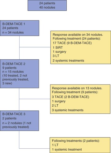 Figure 2. Flow-chart showing the 24 patients included in the study that underwent 35 procedures for 40 hepatocellular carcinoma nodules.Available responses are shown in the right side of the image.B-DEM-TACE: Balloon-occluded transarterial chemoembolization using drug-eluting microspheres; LT: Liver transplantation; SIRT: Selective internal radiation therapy.