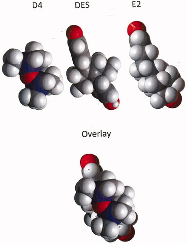 Figure 1. Space filling models of D4, DES, and E2 with the three molecules overlayed in the lower frame.