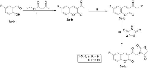 Scheme 1. Reagents and conditions: (i) Abs. Ethanol, piperidine, reflux, 2 h.; (ii) bromine 99%, glacial acetic acid, r.t., 6 h.; (iii) anhydrous DMF, potassium carbonate, potassium iodide, heating on a water bath, 8 h.