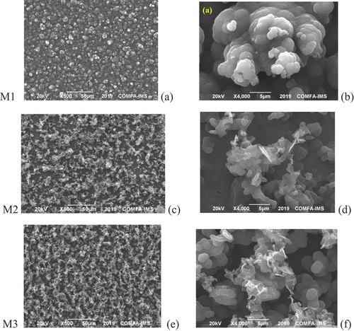 Figure 2. SEM pictures of M1 (a, b), M2 (c, d), and M3 (e, f) samples with different magnifications.
