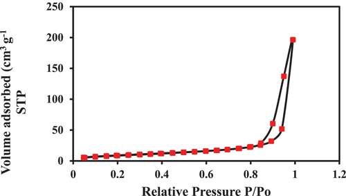 Figure 2. BET adsorption – desorption isotherm.