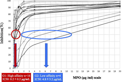 Figure 1. Affinity of myeloperoxidase (MPO)-anti-neutrophil cytoplasmic antibody (ANCA) for MPO evaluated by a competitive inhibition method using ELISA. According to the curves of the plot, the concentration of MPO causing 50% competitive inhibition (IC50) was calculated. The final results of MPO-ANCA affinity (IC50) of the 20 patients with MPO-ANCA-associated glomerulonephritis (AAGN) were classified into 2 groups, i.e., the high-affinity group (indicated by the red circle; 16 patients) and the low-affinity group (indicated by the blue oval; 4 patients).