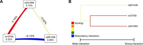 Figure 2 Hierarchical interaction graphs and interaction dendrogram.