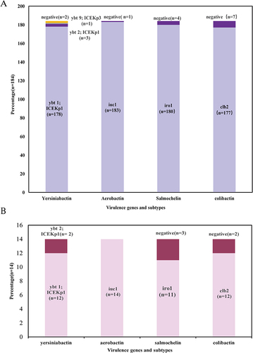 Figure 3 Virulence genes and subtypes among the 184 ST23 strains.