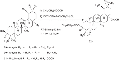 Scheme 4.  Synthesis of triterpenic esters with different chain lengths at C-3.