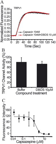 Figure 9. The effect of compound DBDS on TRPV1 channel expressed in HEK293 cells (n = 4). (A) Representative traces in the absence and presence of DBDS (10 μM) on the capsaicin-induced TRPV1 signal; (B) bar graph for the activity change of DBDS (10 μM) on TRPV1; (C) activity change of capsazepine on TRPV1.