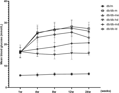 Figure 2 Effects of BSR on blood glucose of db/db DN mice (mmol/L). Animals were assigned into six group (n = 25): control group (db/m), model group (db/db-m), positive group (db/db-me) and BSR at high- (db/db-hd), medium- (db/db-md) and low (db/db-ld) doses group. The data are shown as the mean±SD.