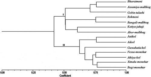Figure 4. UPGMA cluster analysis of 14 noncommercial Musa accessions based on ISSR data generated by seven primers