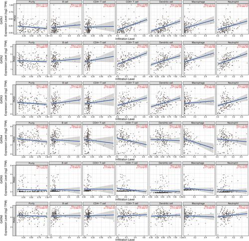 Figure 11 The relationships between GATA family genes mRNA expression and immune cell infiltration in pancreatic cancer based on Spearman correlation analysis. (“p < 0.05, Rho > 0” represents positive correlation; “p < 0.05, Rho < 0” represents negative correlation; “p > 0.05” represents not significant).
