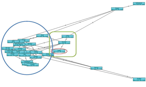 Figure 2. PROMETHEE network representation (ERP-focused case).