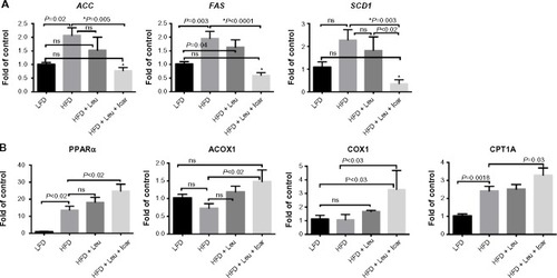 Figure 9 Leu and Icar combination inhibits hepatic lipogenesis and promotes hepatic fatty acid oxidation in DIO-mice.