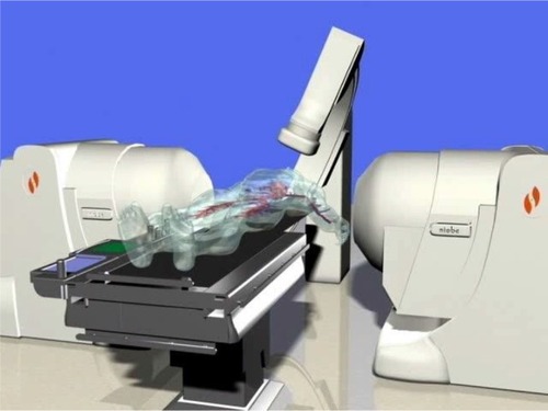 Figure 1 Simulation of the examination bed when the magnets are in active position and the patient is present.