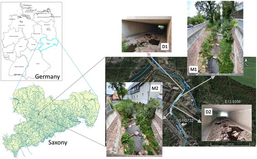 Figure 1. Location of the study site with an overview of Saxony river systems and Mortelbach within the city of Waldheim showing the four 4 restored river sections (D1, M1, D2, and M2, downstream to upstream) with structural measures such as pools, riffles, and riparian/aquatic vegetation.