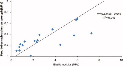 Figure 10. The pseudobarnacle adhesion strength as a function of elastic modulus.