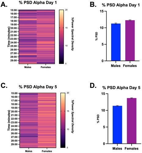 Figure 4. Percent power spectral density (PSD) for the alpha frequency during the last 15 min of restraint on Days 1 and 5 in male and female rats, displayed in both heat map and bar graph format. (A) Heatmap of the % power spectral density for the alpha frequency on Day 1 in males and females. There were no significant main effects of time or sex on the % power spectral density of alpha. (B) Bar graph quantifying % power pectral density for the alpha frequency from Panel A. (C) Heatmap of the % power spectral density for the alpha frequency on Day 5 in males and females. There were no significant main effects of time or sex on the % PSD of alpha. (D) Bar graph quantifying % power spectral density for the alpha frequency from Panel C.