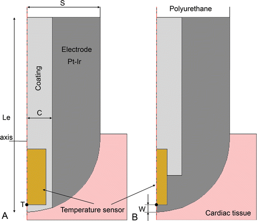 Figure 2. Detail of the two types of active electrodes considered the study. Le is total electrode total length in (mm) and S is the electrode radius (in Fr), C is the layer of coating around the temperature sensor (C = 0.4 mm). The temperature sensor dimensions are 0.75 × 0.3 mm for type A, and 0.75 × 0.15 mm for type B. Point T indicates the place where temperature is assessed to implement the PI controller. The parameter w is the distance between location of P and electrode surface.