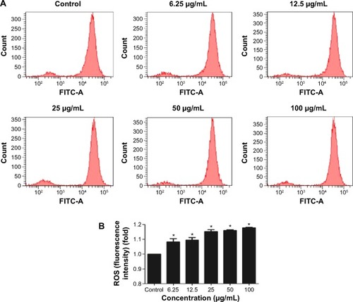 Figure 4 Effects of TNPs on intracellular ROS generation in A549 cells.Notes: The typical picture of ROS detected by flow cytometry (A); the intracellular ROS level significantly increased in a dose-dependent manner (B). Data are expressed as mean ± SD. n=5, *P<0.05, compared with control.Abbreviations: FITC, fluorescein isothiocyanate; TNPs, titanium dioxide nanoparticles; ROS, reactive oxygen species; SD, standard deviation.