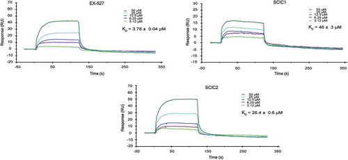 Figure 3. Surface plasmon resonance study on interaction of SCIC1 and SCIC2 with SIRT1. Binding affinity was measured as equilibrium dissociation constant (KD). EX-527 was used as positive control.