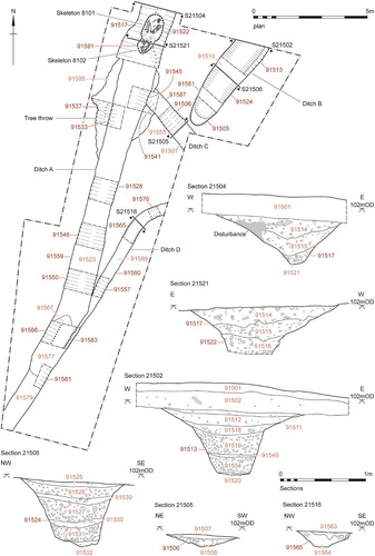 Figure 4. Archaeological features in Trench 5.
