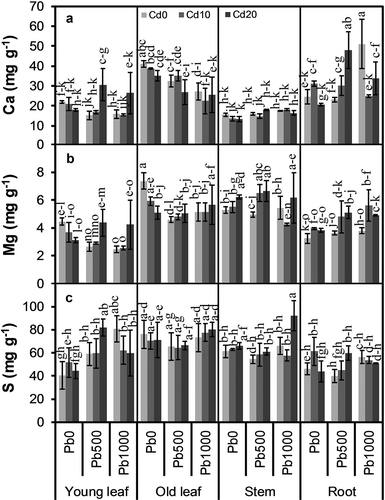 Figure 3. Concentrations of (a) calcium (Ca), (b) magnesium (Mg), and (c) sulfur (S) in different parts of alfalfa plants grown on a calcareous soil spiked with different levels of cadmium (Cd) and lead (Pb). Cd0, Cd10, and Cd20 represent soil Cd level of 0, 10, and 20 mg kg−1, respectively; Pb0, Pb500, and Pb1000 represents soil Pb level of 0, 500, and 1000 mg kg−1, respectively. Data are presented as means ± SE (n = 3). Different lower-case letters above the bars indicate significant (P ≤ 0.05) differences among combinations of Cd × Pb × plant part according to the results of LSD test of three-way ANOVA.