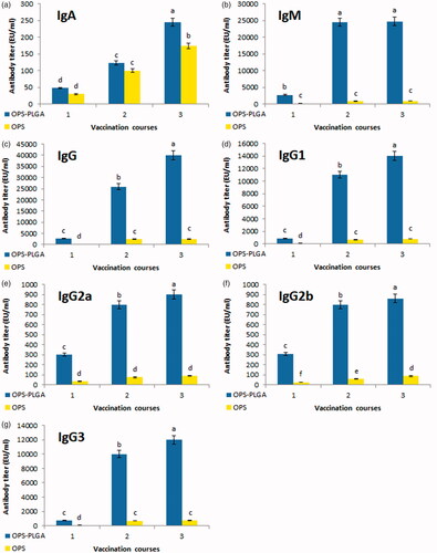 Figure 5. Distribution and kinetics of antibody titres. The IgA (a), IgM (b), IgG (c), IgG1 (d), IgG2a (e), IgG2b (f), IgG3 (g) show the results of serum antibody production against B. melitensis. The values are the average of three replicates (±SD). Different letters represent the meaningful of differences in level p < .001.