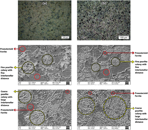 Figure 3. Optical microstructure of AISI 5140 steel (a) prior to and (b) post-annealing at 900 °C. SEM micrograph of AISI 5140 steel (c) and (d) before annealing at 900 °C, (e) and (f) after annealing at 900 °C.