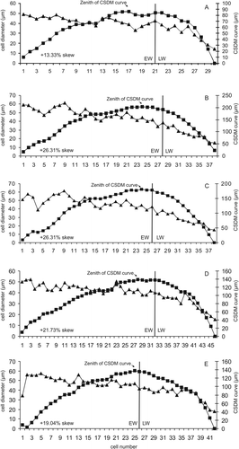 Fig. 11 Right-skewed CSDM curves of five growth rings and cell diameters of growth ring increment. For each ring increment, the percentage of skew for CSDM curves was calculated using Falcon-Lang's (Citation2000a) method (see Table 4). The position at which the CSDM curve reaches the zenith represents the percentage of skew in relation to the total distance between the centre of the CSDM curve to the right of the plot.