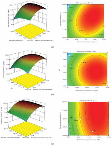 Figure 1. Three-dimensional surface plot and Contour plot for hydrogen yield. The response surface model was obtained by the BBD with the date shown in Table 3. (a) the effect of substrate concentration, inoculation amount and their mutual interaction on hydrogen yield; (b) the effect of substrate concentration, initial pH and their mutual interaction on hydrogen yield; (c) the effect of substrate concentration, enzyme concentration and their mutual interaction on 1hydrogen yield. (d) the effect of inoculation amount, initial pH and their mutual interaction on hydrogen yield. (e) the effect of inoculation amount, enzyme concentration and their mutual interaction on hydrogen yield. (f) the effect of initial pH, enzyme concentration and their mutual interaction on hydrogen yield