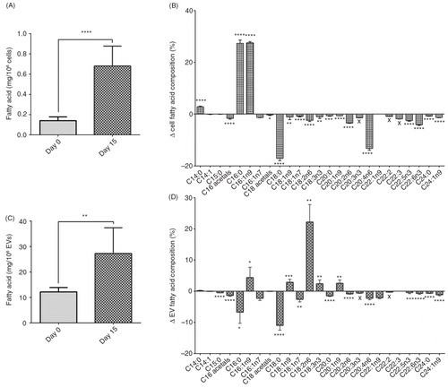 Fig. 4.  Cell and EV fatty acid concentration and change in composition. Total fatty acid concentration of 3T3-L1 cells and EVs at day 0 and day 15 of differentiation (A and C, respectively). Changes in proportions of individual fatty acids in cells and EVs between day 0 and day 15 of differentiation (B and D, respectively). ****p<0.0001, **p<0.001, **p<0.01, *p<0.05, n=6 (day 0) and n=5 (day 15).