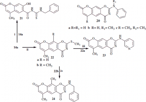 Scheme 4. Outline the reactions of substituted-2-thioxo and 2-methyl thio-chromen-1,3-oxazine linear compounds 14a,b and 22a,b with benzylamine and 2-(pyrdin-3-yl-amino) respectively. Reaction conditions: (i) NaHCO3/benzylamine in water/2-propanol; (ii) NaHCO3 in water/2-propanol/MeI; (iii) 3-aminopyridine; (iv) benzylamine.