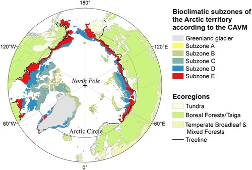 Figure 1. The distribution of circumpolar arctic tundra which lives north of arctic treeline.