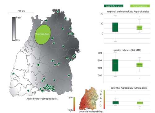 Figure 2. Experimental setup and location of KraichgauKorn farmland and organic farm site areas studied in southwest Germany. Agrobiodiversity (selected 80 wild arable species from state-wide biodiversity monitoring) and potential vulnerability of wild plant species from arable fields on landscape scale (resolution of 25 km2) is shown as background information (grey-scale). Boxplots indicate that landscape-level diversity measures are not different, hence, allowing direct comparisons of monitoring results on local fields (see Figure 3).