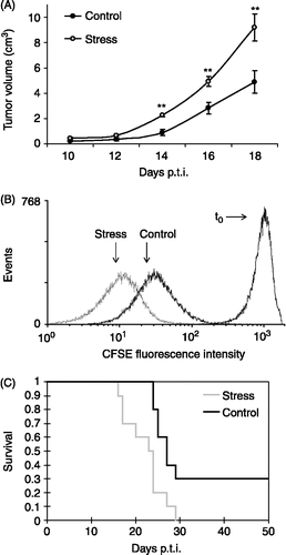 Figure 4 Effect of chronic stress on LBC lymphoma cell proliferation and prognosis. Mice were subjected to chronic restraint stress, or control conditions, for three weeks, and then were inoculated subcutaneously with 1 × 106 LBC cells to generate a solid tumor. Stress procedures continued until the mice died. Representative results from three independent experiments are shown. (A) Tumor progression after appearance. Tumor length and width were measured and tumor volume was calculated as V = π/6 × L × W2. Values are expressed as group means ± SEM. for each day post-tumor injection (p.t.i.). Statistical significance was determined using unpaired t-test (n = 10 mice per group, **p < 0.01). (B) CFSE fluorescence intensity of LBC cells growing in stressed and control mice. The graph shows the number of events against the mean fluorescence intensity for each treatment, for a representative experiment of one stressed and one control mouse. Statistical significance was determined using unpaired t-test (n = 3 mice per group, p < 0.01). (C) Kaplan-Meier plot of survival of stressed and control mice (n = 10 mice per group, p < 0.01, Log-Rank analysis).