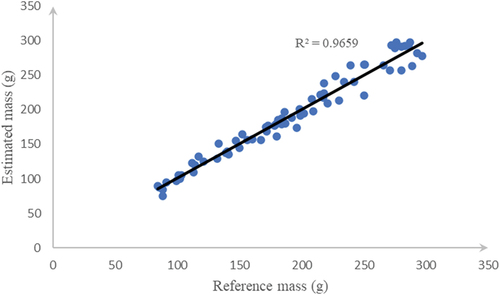 Figure 16. Correlation between estimated and reference mass of Japanese sweet potato grown in Vietnam.