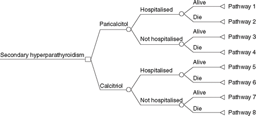 Figure 1. Decision tree representing the primary outcomes (hospitalisation and survival) that occur for patients with secondary hyperparathyroidism treated with either intravenous paricalcitol or calcitriol.