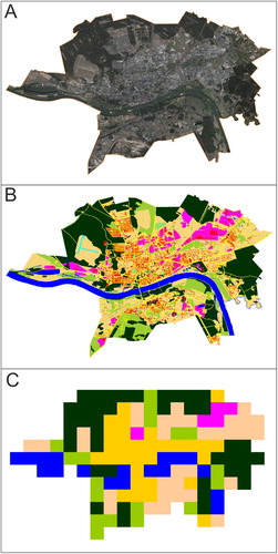 Figure 3. Stages in the preparation of choropleth maps of the dominant-share of individual elements. (A) Orthophotomap (the resolution of input materials was 1.0 m), (B) land-use map of city, (C) dominant-share elements.